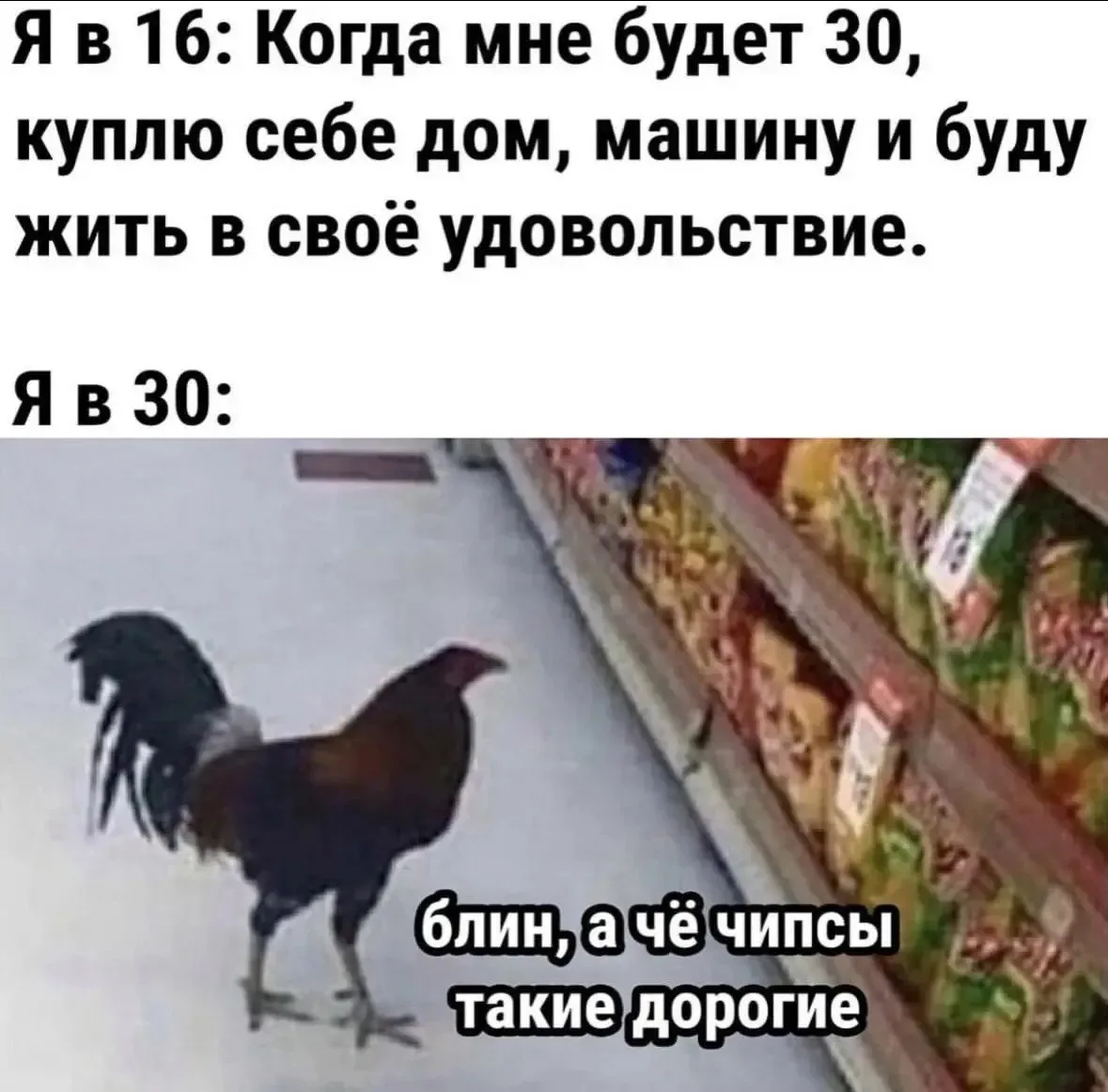 Ах, мечты

🍷 Наш бот знакомств  - max/ЗНАКОМСТВА
🍑Анонимный чат - max/АНОНЧАТ