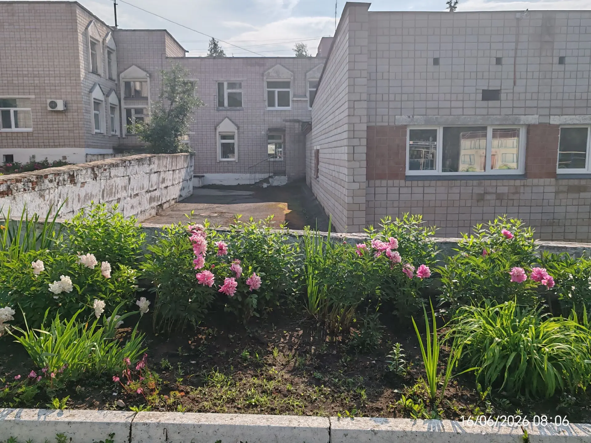 🌸 Наша школа расцветает и преображается — даже в каникулы она становится всё красивее! 🌸

Посмотри