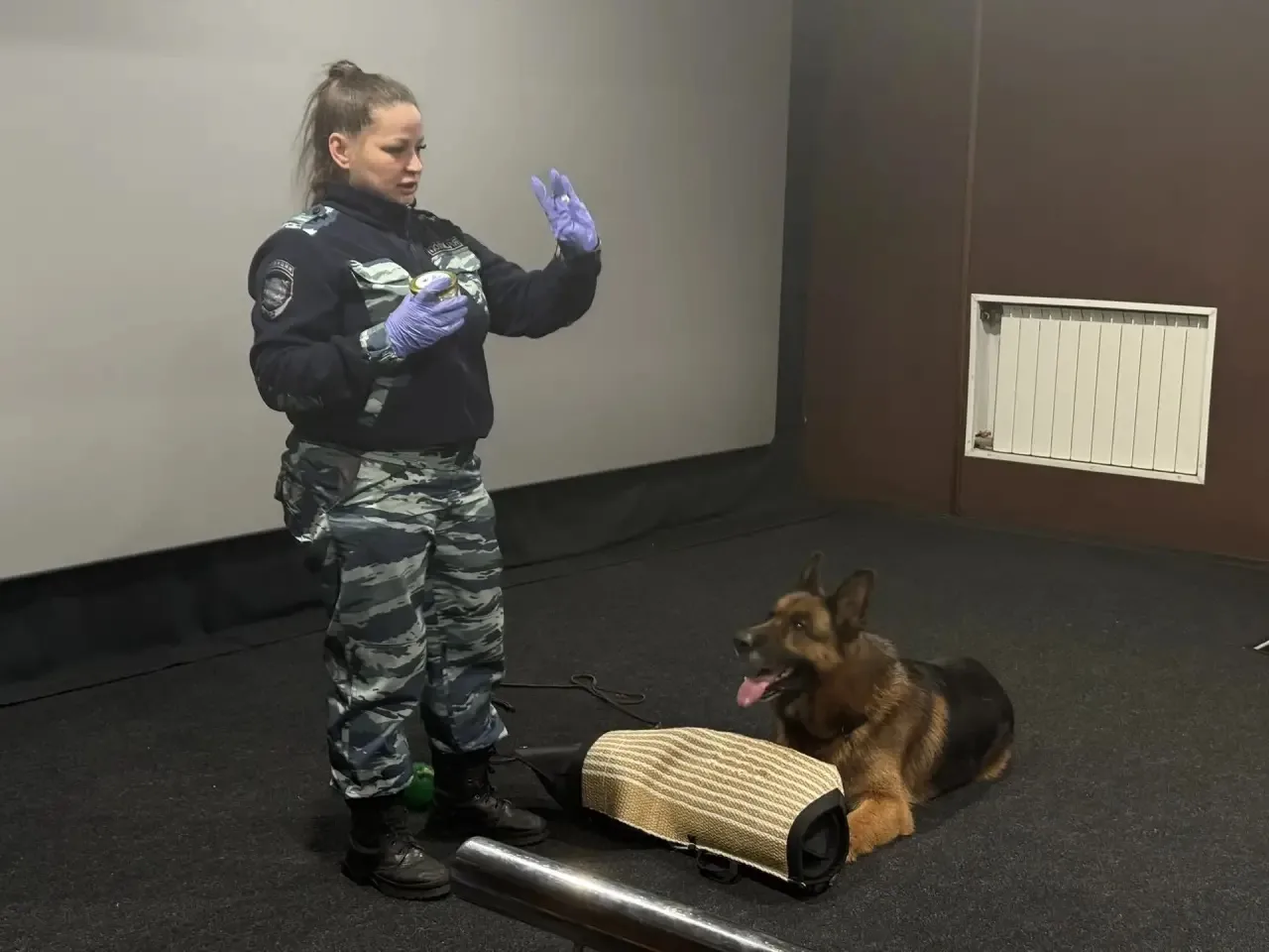 «КАРУЗА» и КИНОЛОГ: две стороны одной работы 🎬🐕‍🦺  В рамках месячника, посвященного Дню защитника От