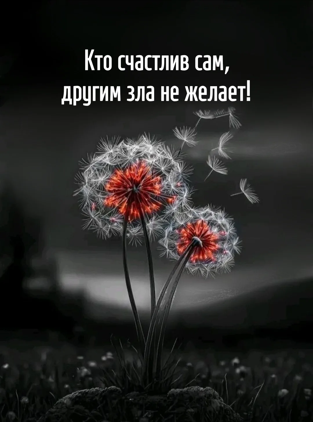Цитаты жизни