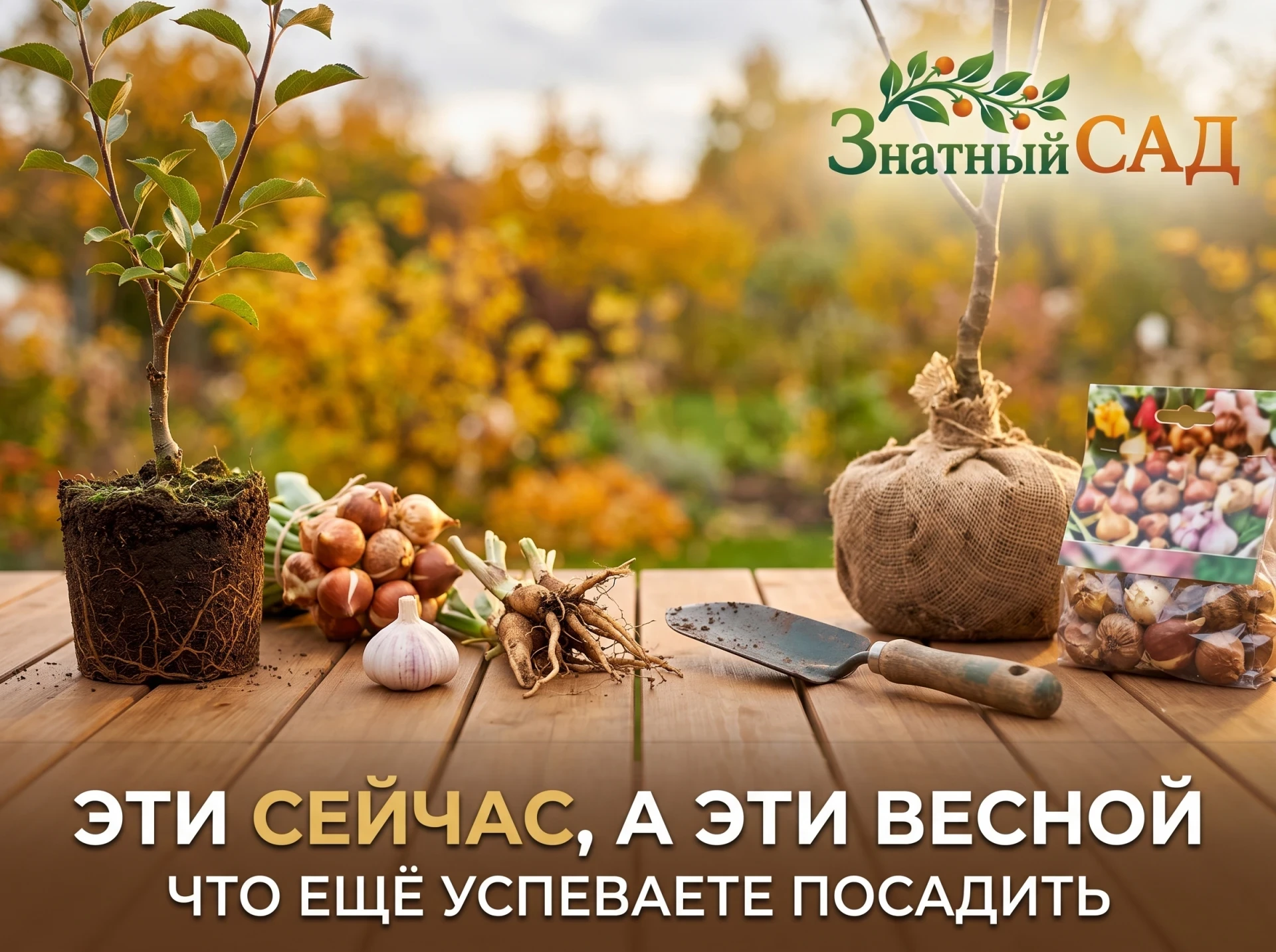 📅 ЧТО ВЫ ЕЩЁ УСПЕВАЕТЕ, А ЧТО УЖЕ НЕТ