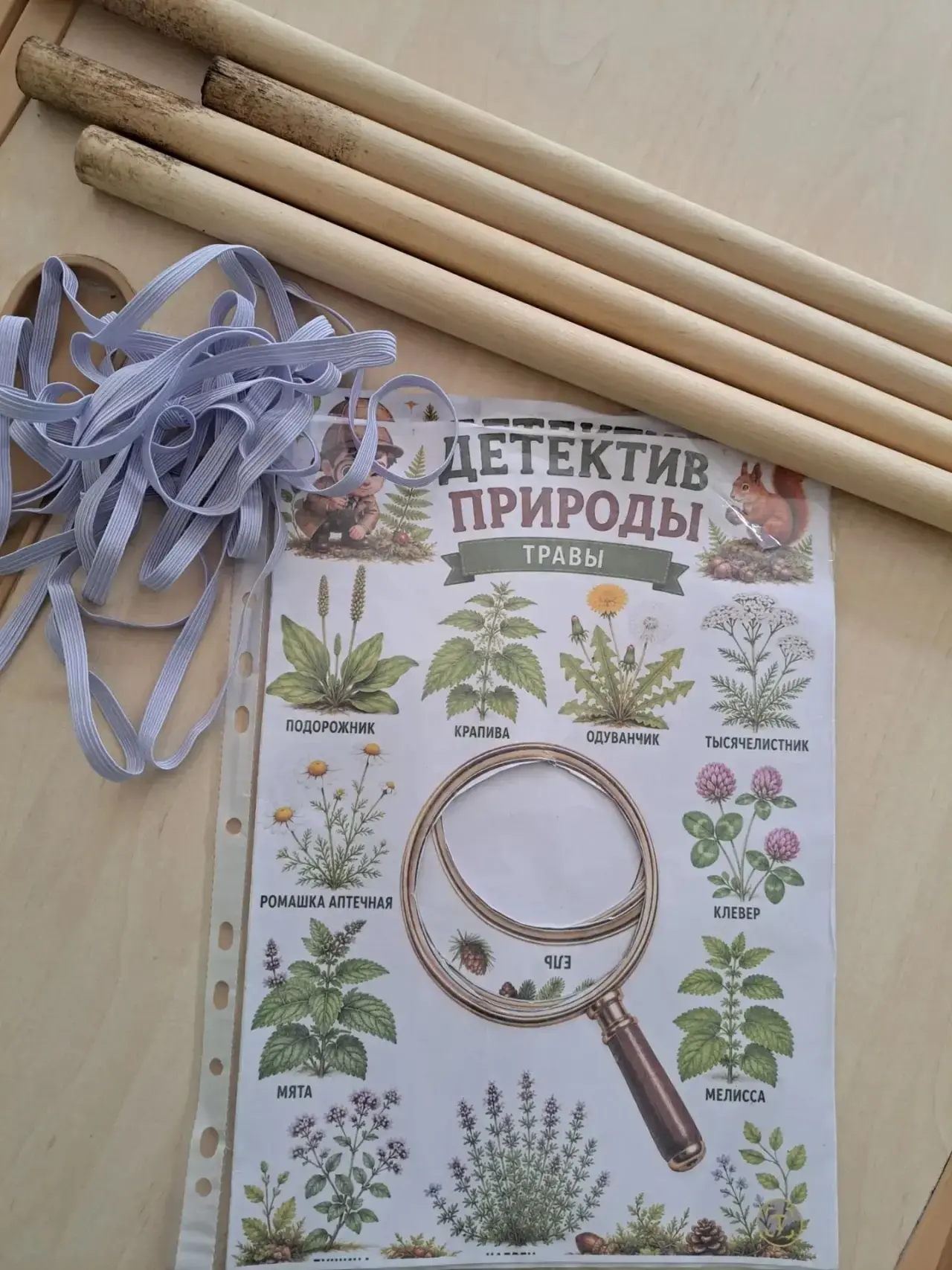 Ребята из отряда "Эколята" 🌿 участвуют в областной Экологической кампании "Фито - лето" ☀️ в рамках