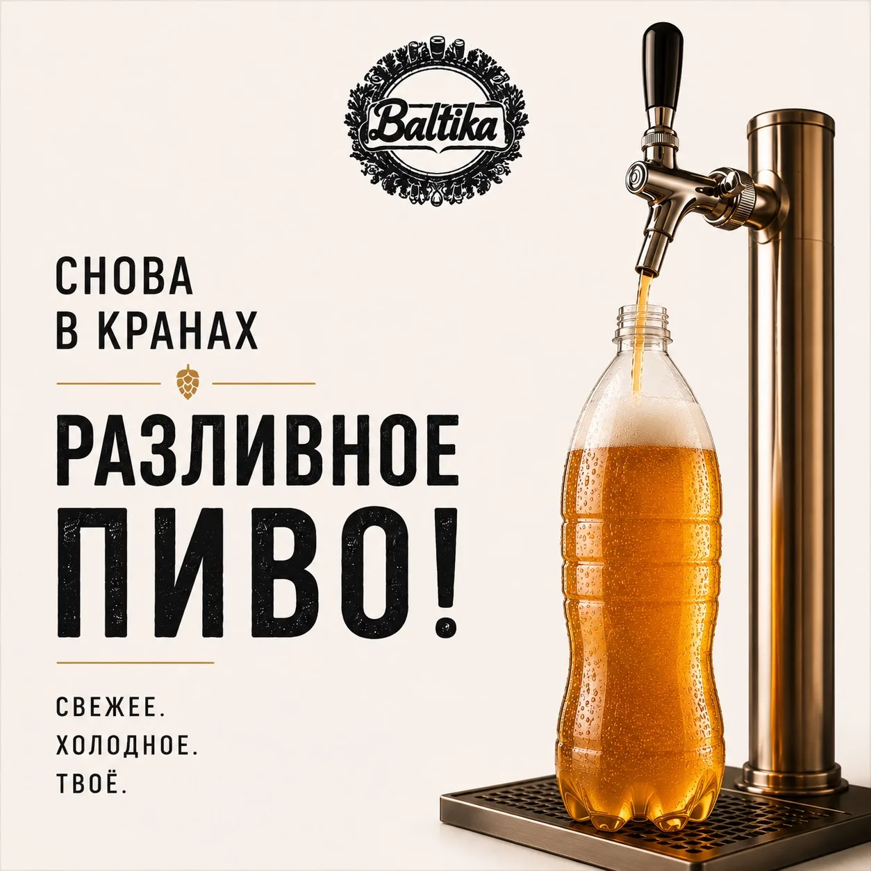 🍺 Снова в кранах!