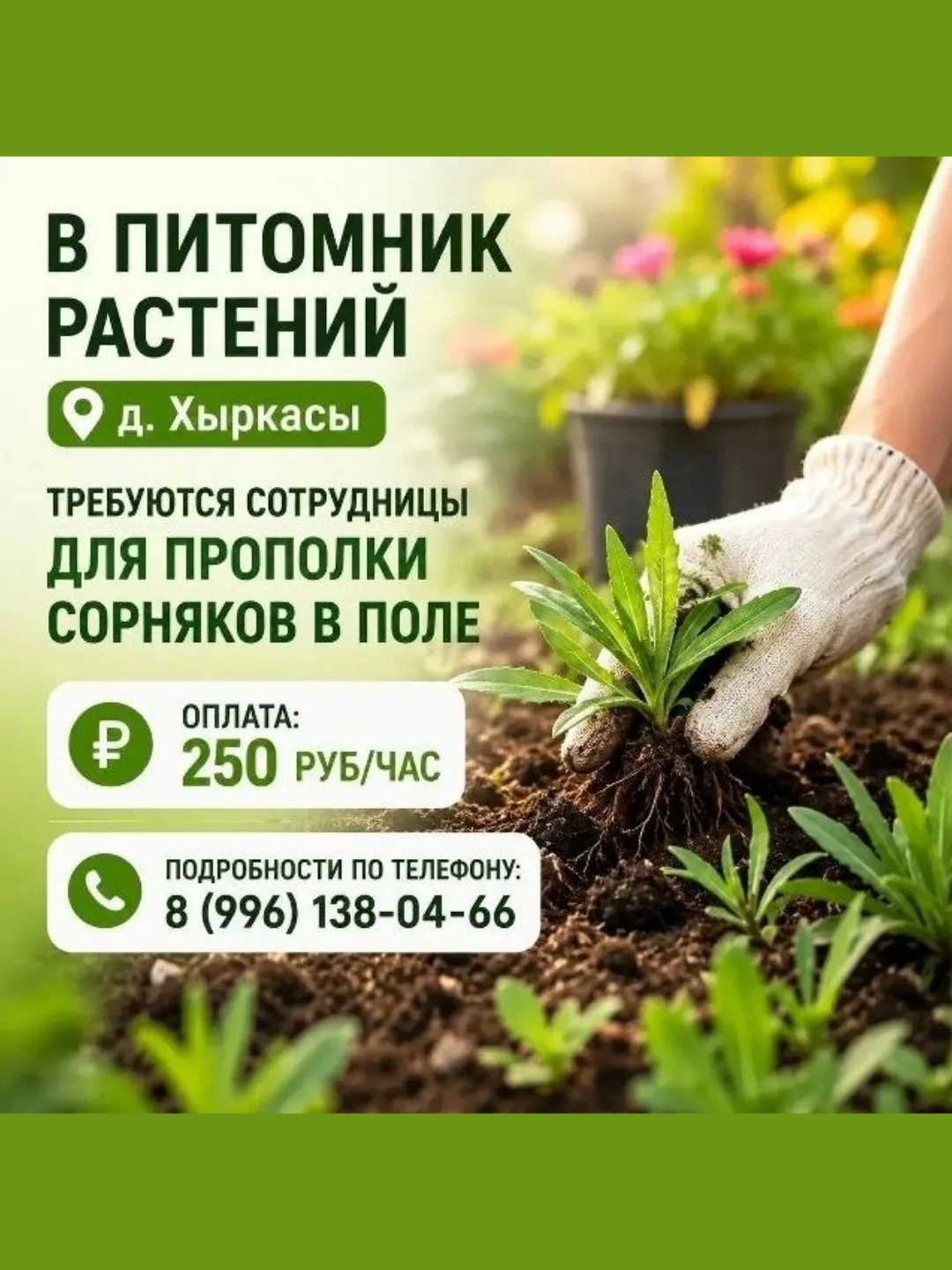 В садовый центр, расположенный в д. Хыркасы, ул. Молодежная, д.1А, требуются сотрудники.

Условия:

