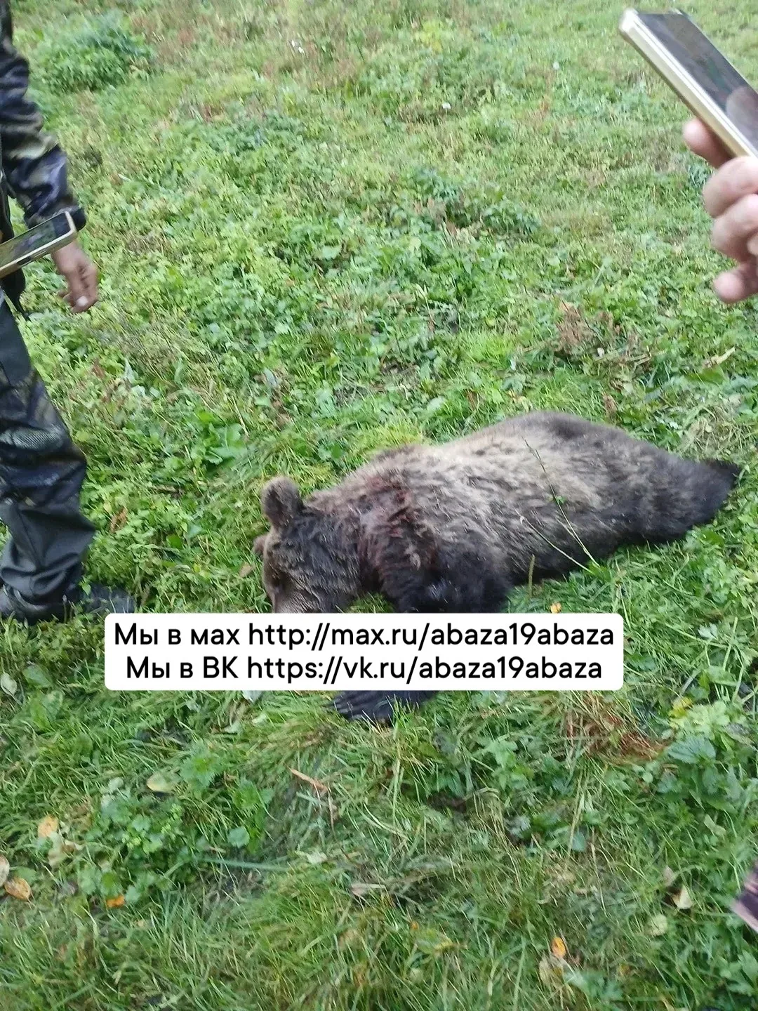 От участника: Сегодня Малые Арбатах, ул. Нагорная подросток