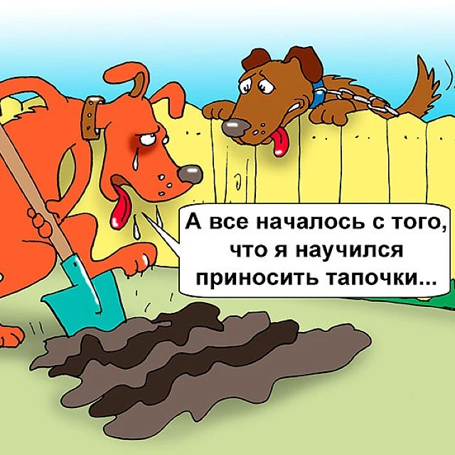 Почти анекдот! 🤣