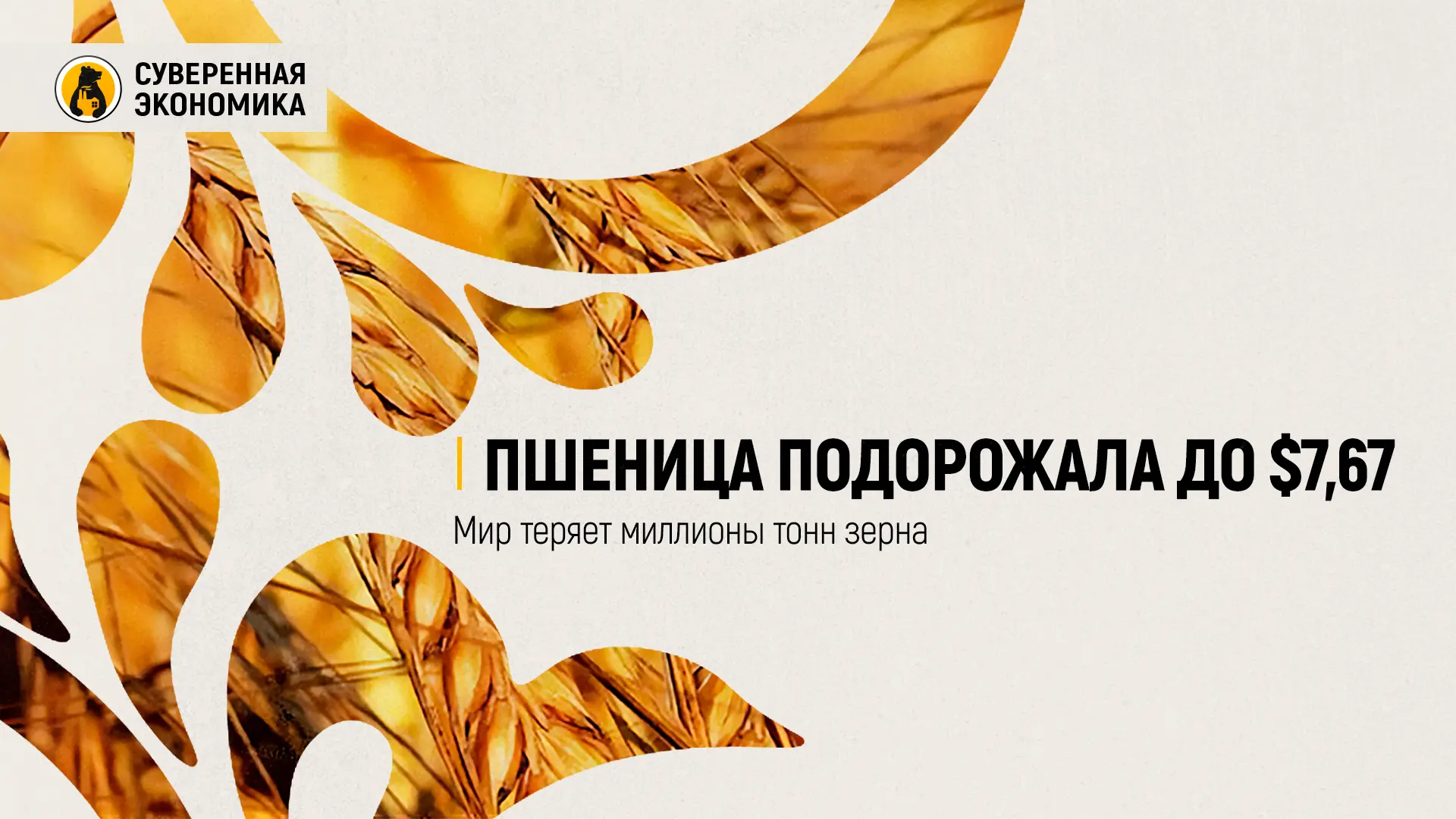 Пшеница подорожала до $7,67 — мир теряет миллионы тонн зерна
