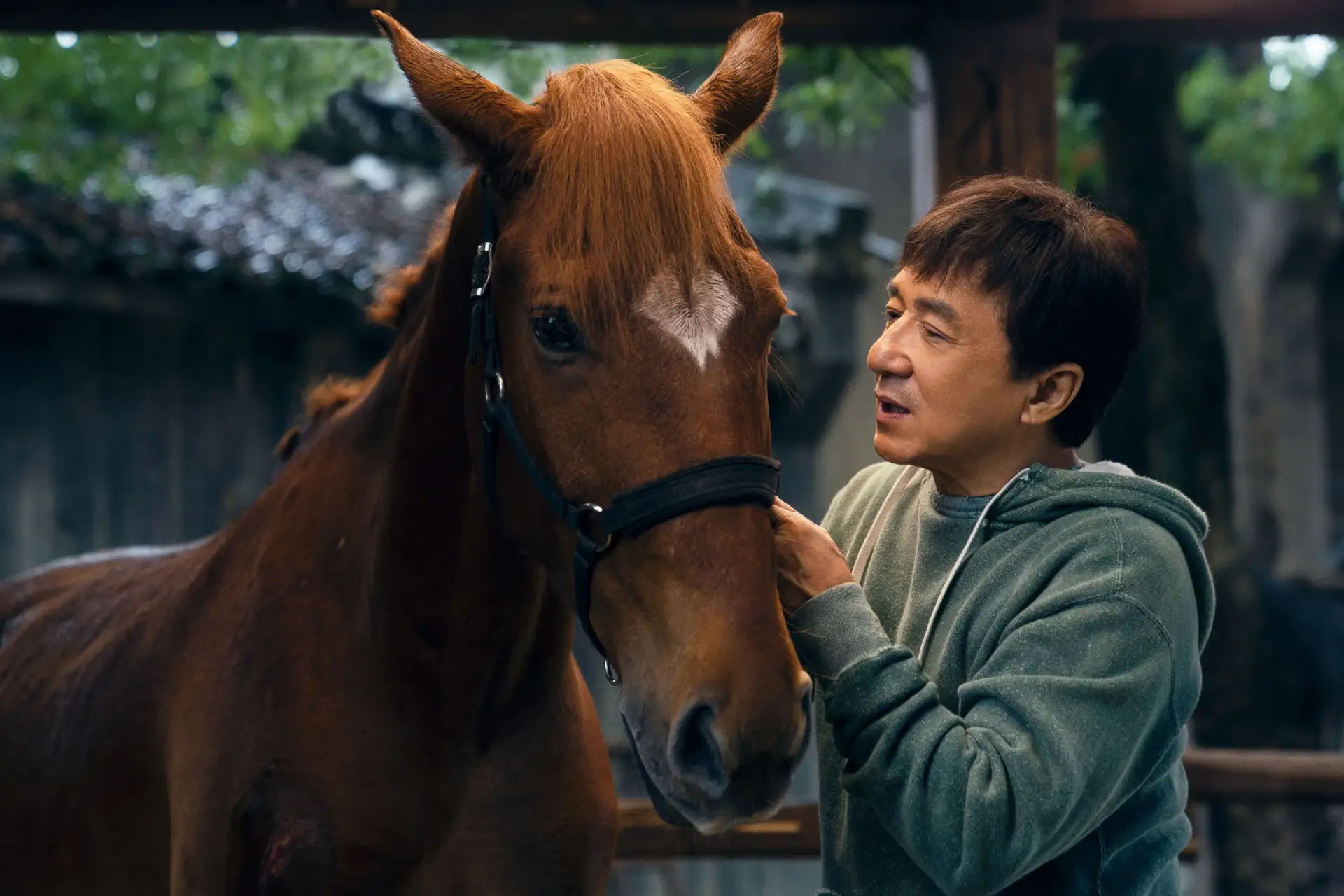 Кунг-фу жеребец (2023) Long ma jing shen ⚡ 12+  🐴 Драма, комедия, боевик  В прошлом востребованный г