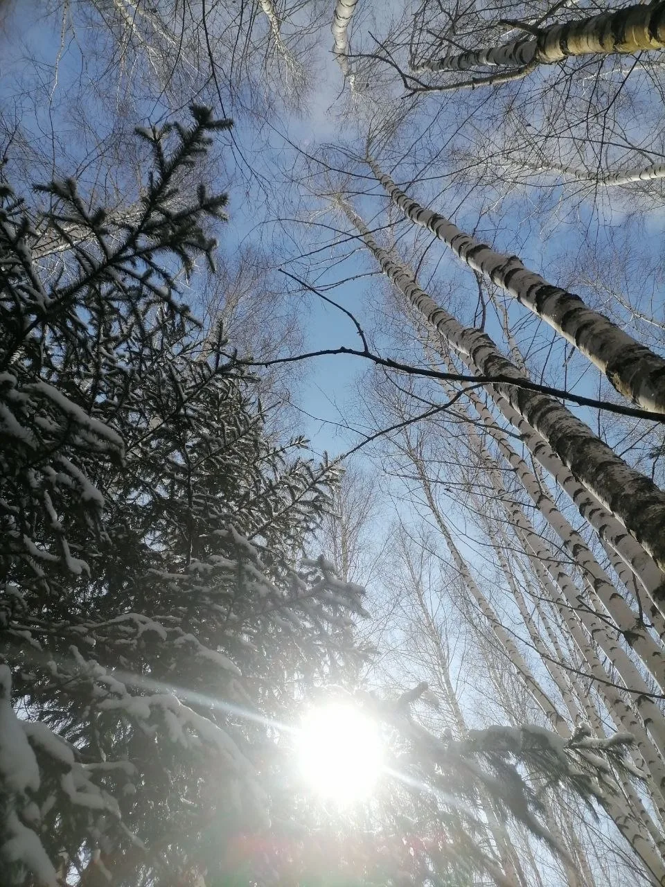 Бүгенге матурлык ❤️❄️