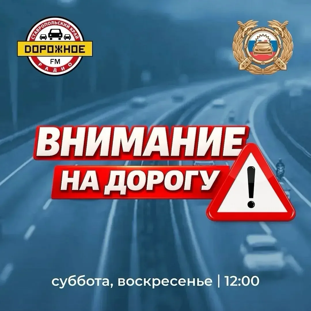 🍁 Безопасность дорожного движения в осенний период