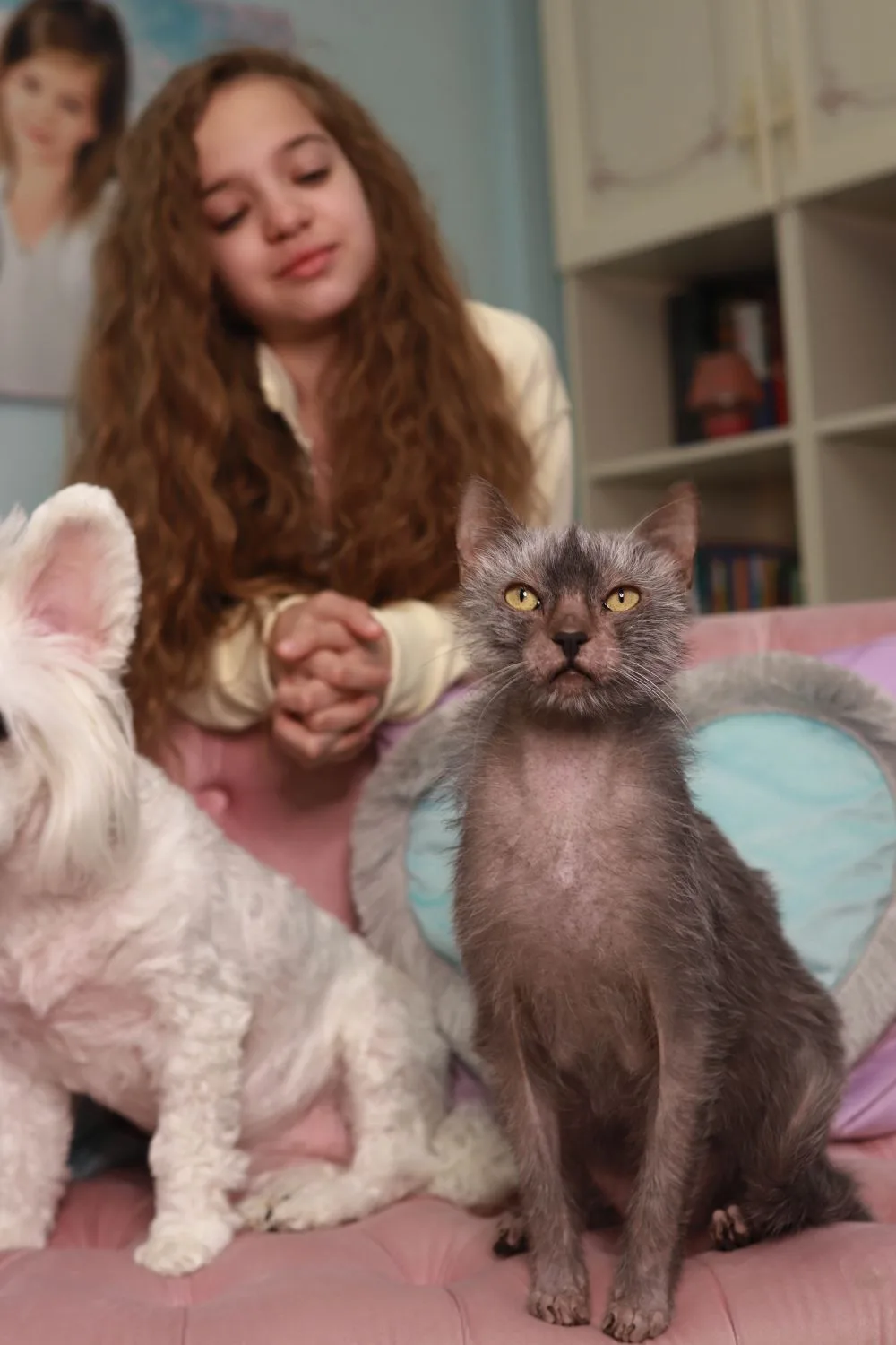 Всем доброе утро 😻