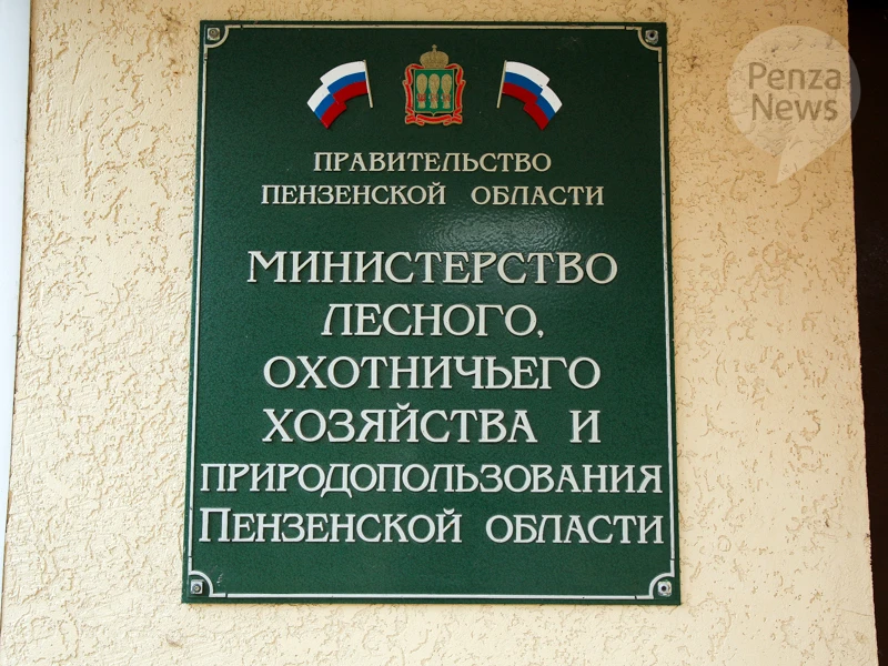 Медведь замечен в Неверкинском районе