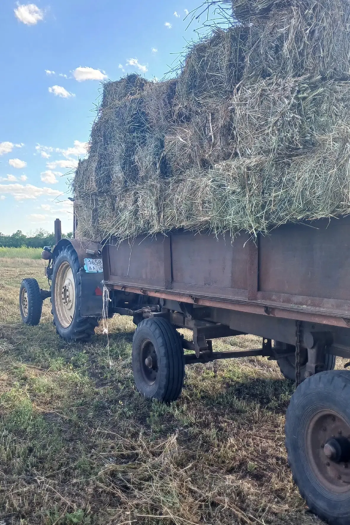 Продам сено! 2026г. Цена 300₽. Лутугинский р-н. +79591406995