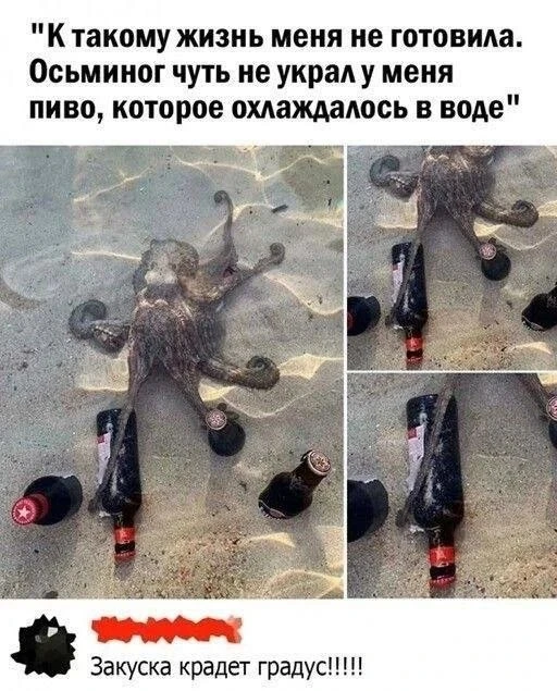 ПРУFИКИ В МАХ