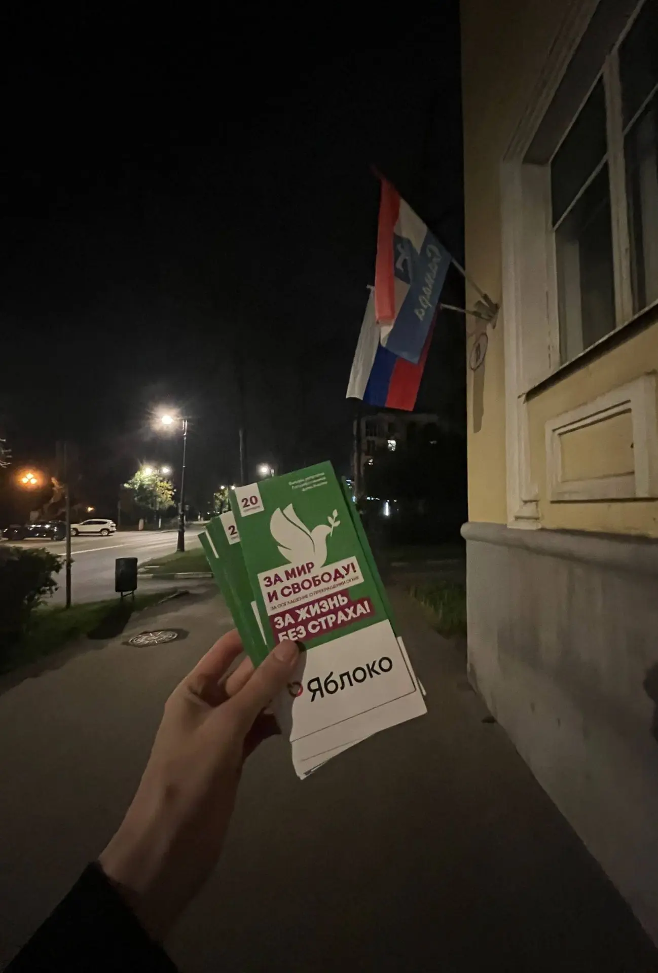 В Самаре в центре города и на набережной прошла раздача информационных листовок партии ...