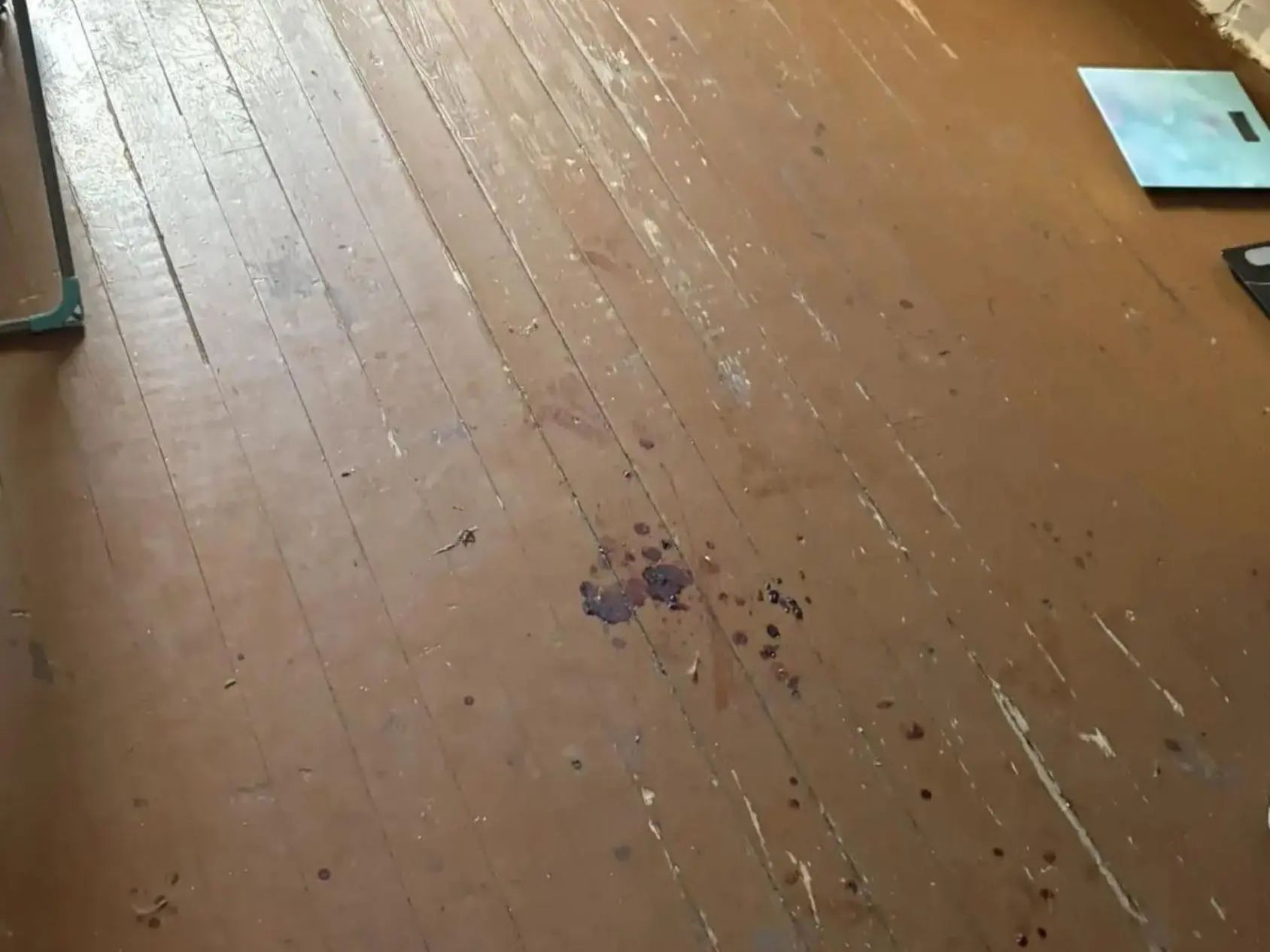 В Архангельске возбуждено уголовное дело о покушении на убийство