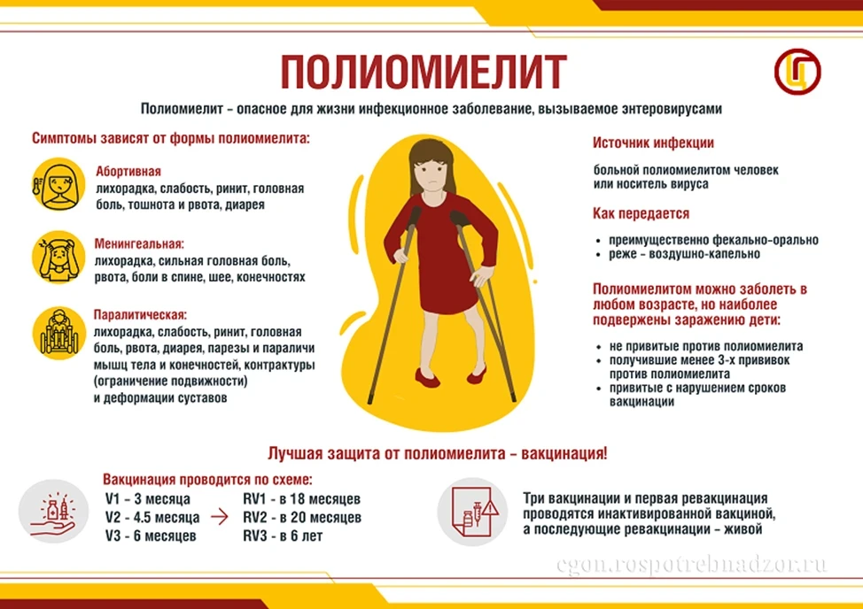 Профилактика полиомиелита✍️