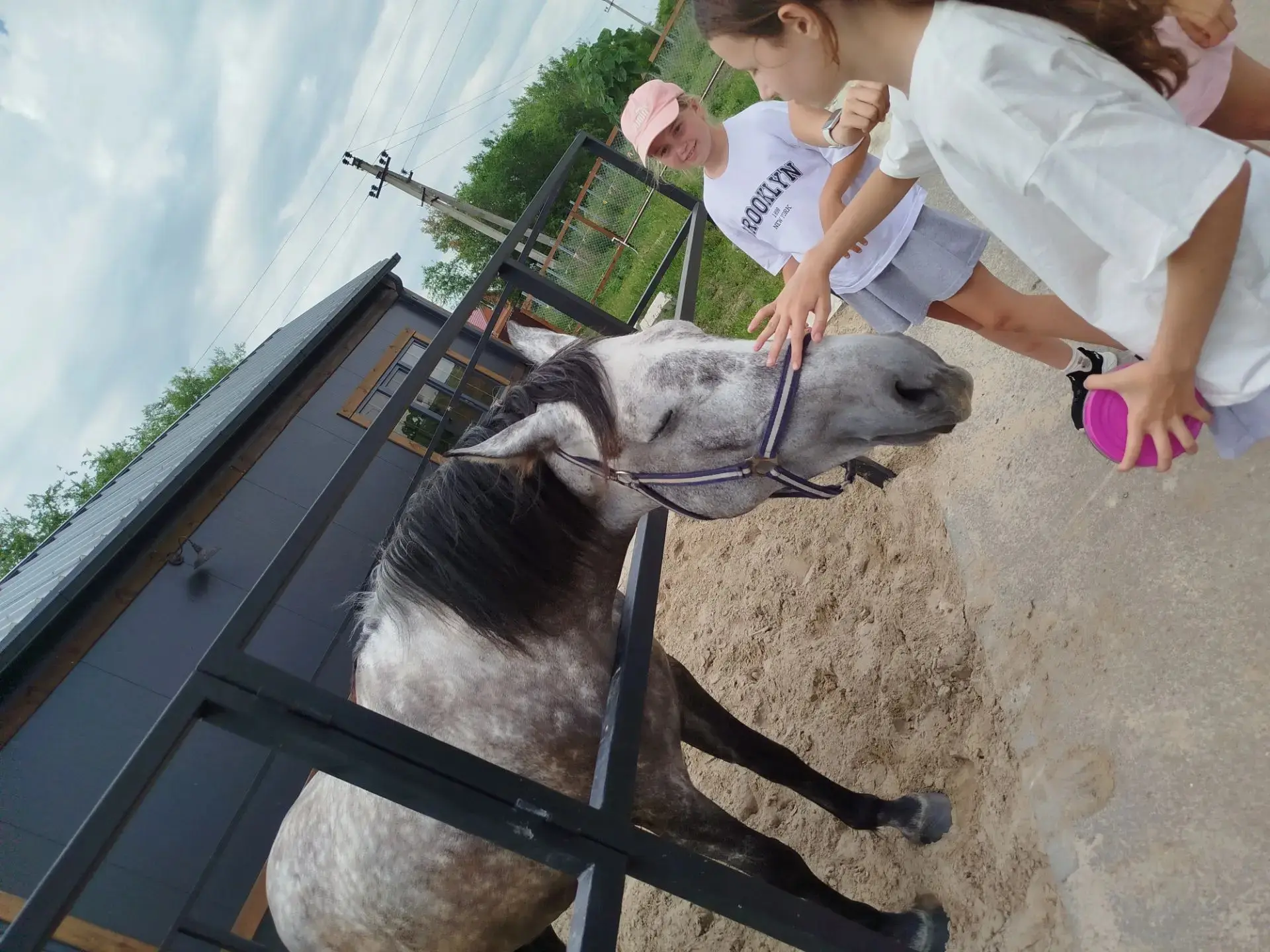🐴 Незабываемый день в конном клубе «Старая мельница»!

Наши ученики окунулись в удивительный мир ло