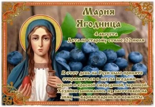 ♥️ Доброе утро, друзья! Сегодня 4 августа, вторник!