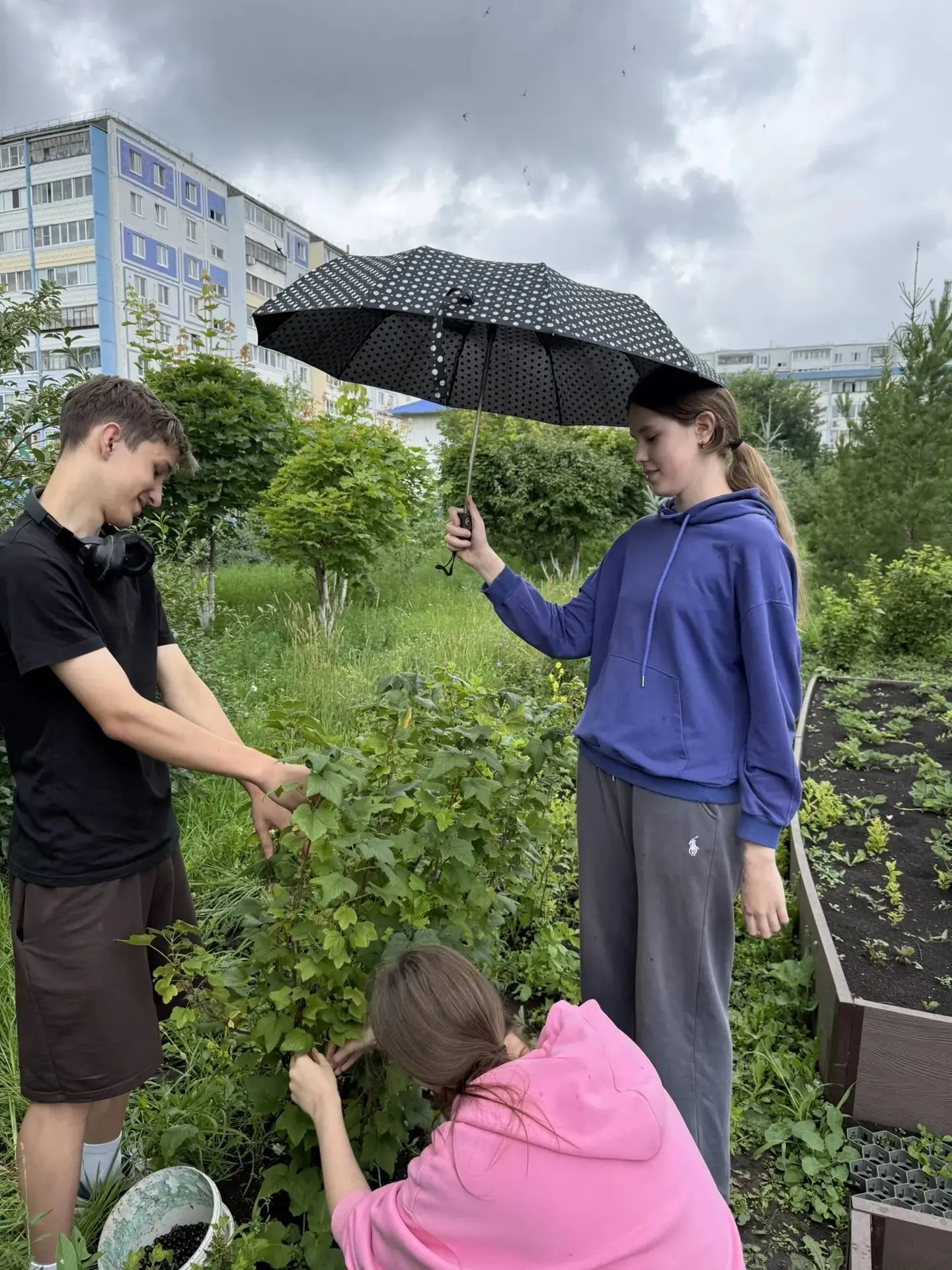 Никакой ливень не остановит настоящих садоводов! 🌧🍇

Пока все сидят по домам и смотрят в окна, мы 