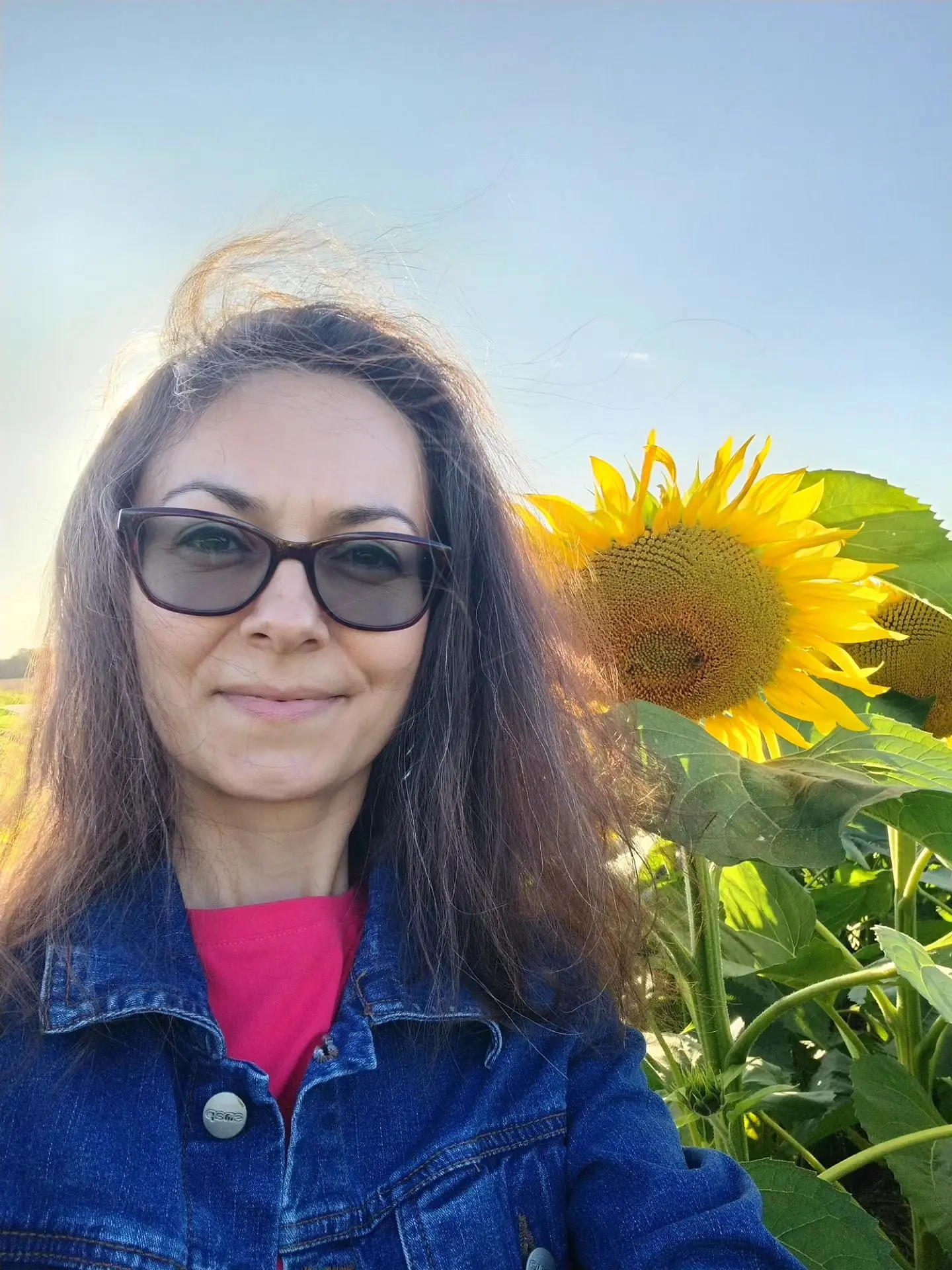 Казанцы, сейчас самое время фоткаться в подсолнухах