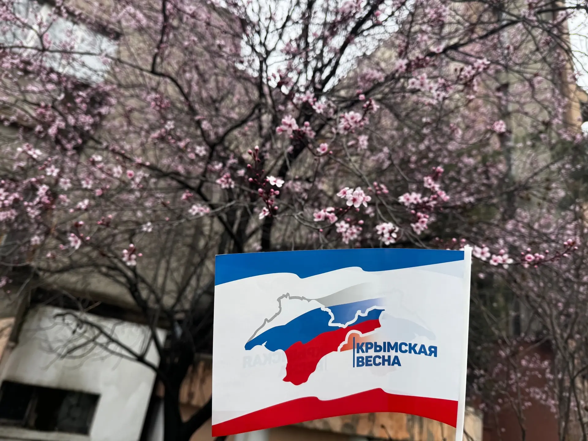 🇷🇺 «Крымская весна» − символ единства  18 марта в России отмечается День воссоединения Крыма с Росси