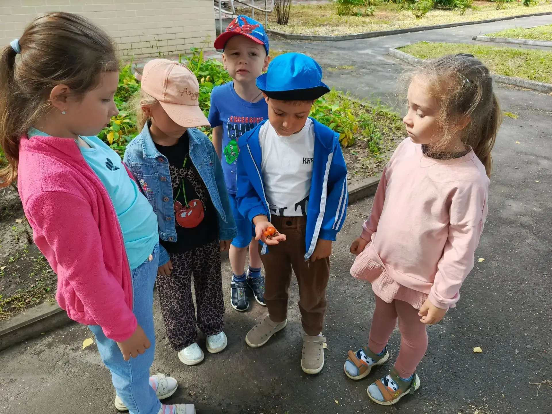 На огородном участке детского сада кипит настоящая взрослая работа — только в исполнени...