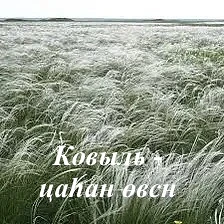 💡Медхд соньн

🌿Мана өргн теегин аһуд олн-зүсн урһмл урһна. Хальмг Таңһчин теегт 100(зун) шаху эмнл