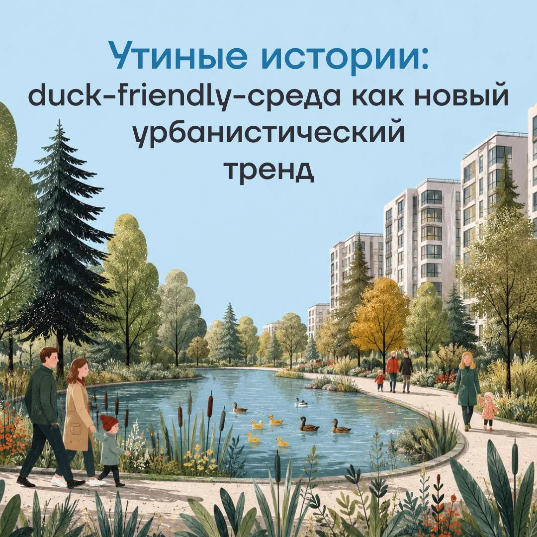 Duck-friendly
Город как общий дом: новая философия водоемов 🦆 

Сегодня пруды и озера рассматрив