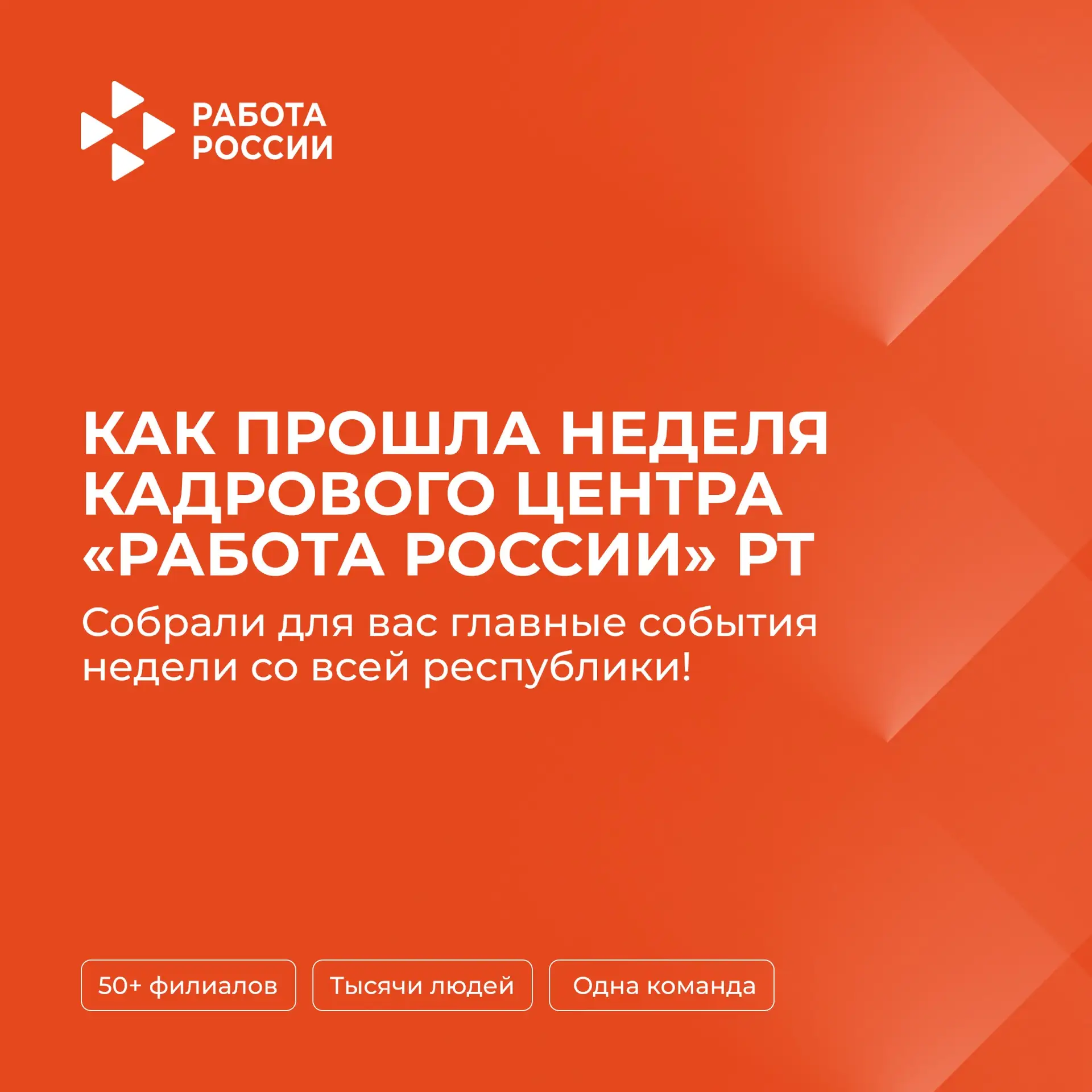 Неделя в Кадровом центре «Работа России» — собрали главное