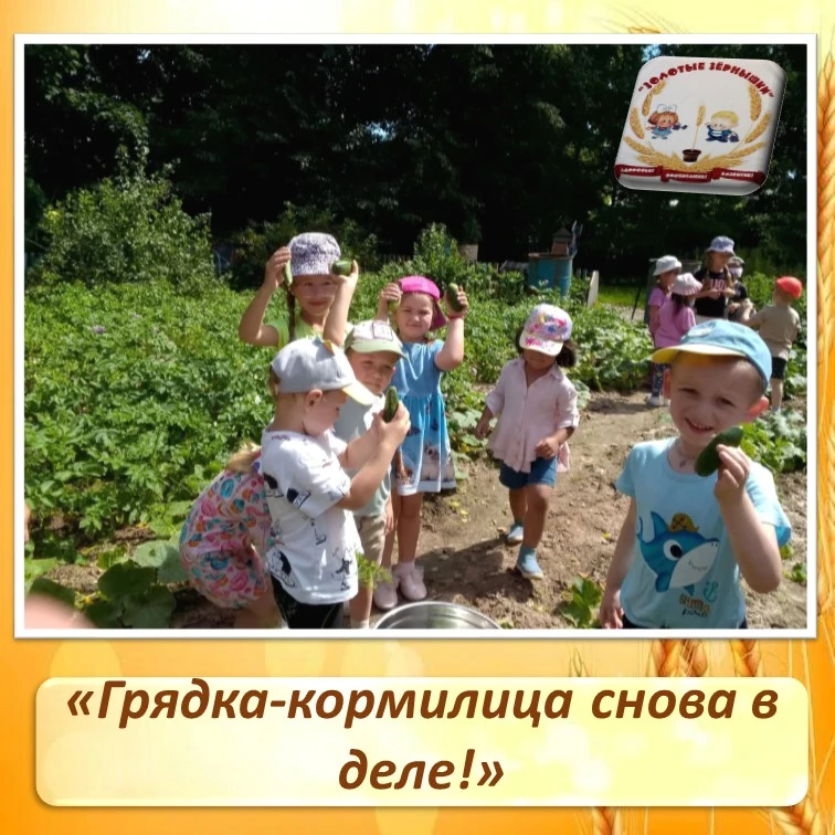🌱 Грядка-кормилица снова в деле! 👩‍🌾🧑‍🌾

Сегодня наши юные огородники собрали очередной богатый