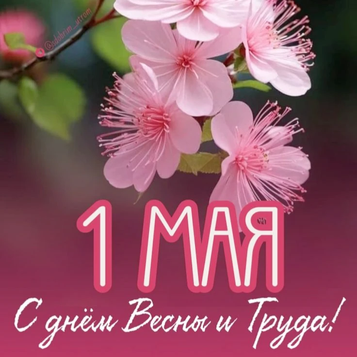 С Первомаем! 🌸