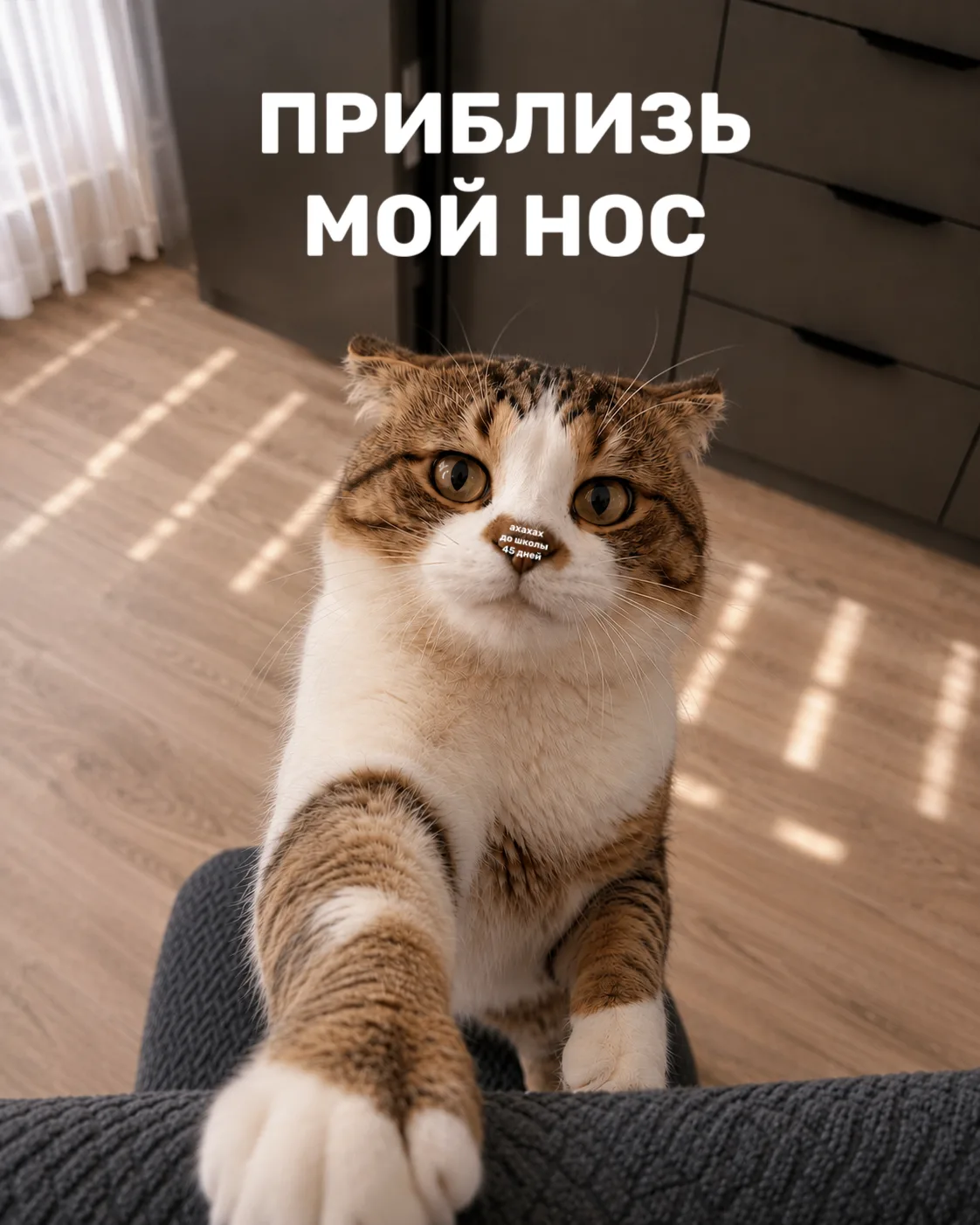 Отправь другу, напомни о важном! 😉