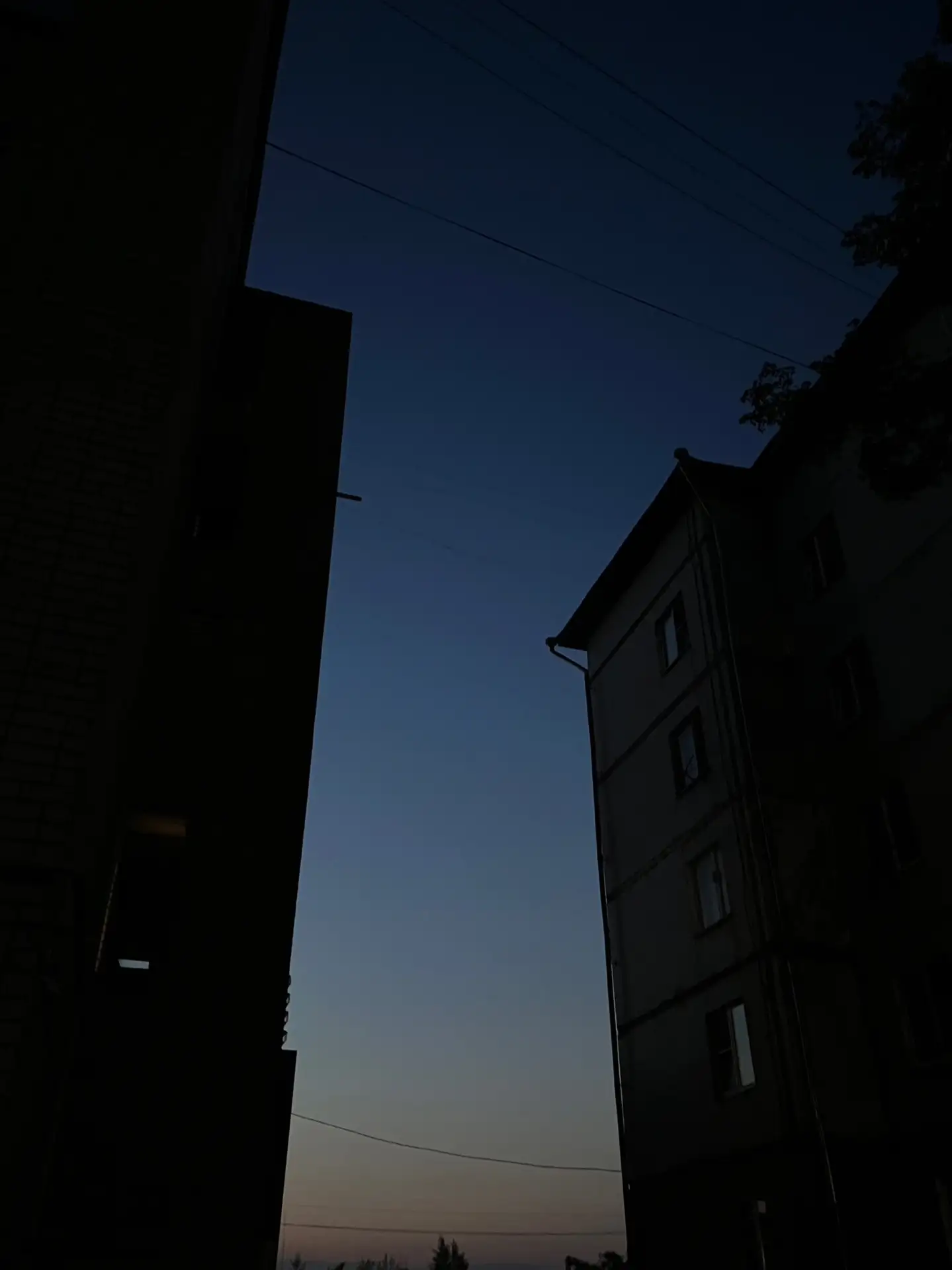 Как хороша летняя Вологда ✨