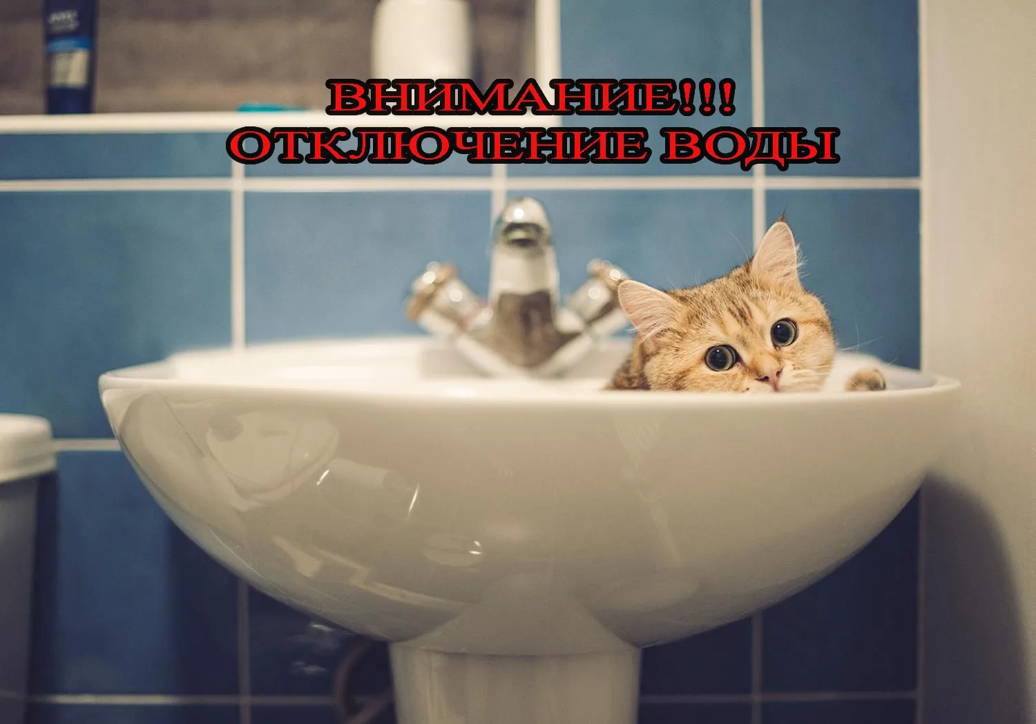 Уважаемые жители п. Золотухино 26.05.2026 года с 22.00 до 27.05.2026 года 19.00 ориентировочно, по у
