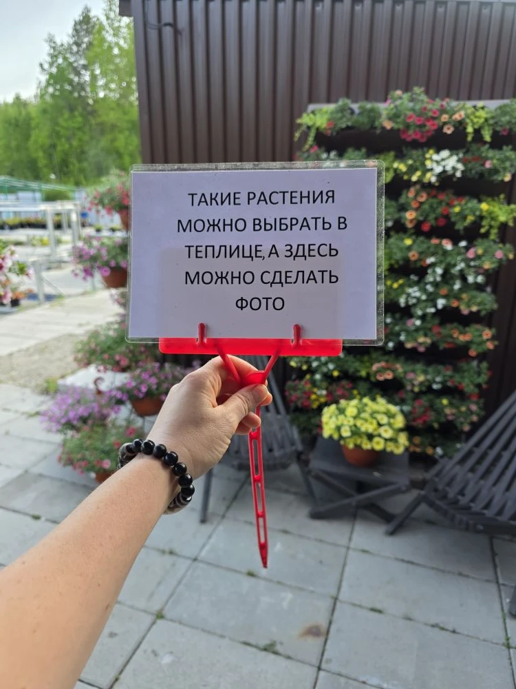 Бесконечный простор для творчества. Люблю свою работу 🌱😍
