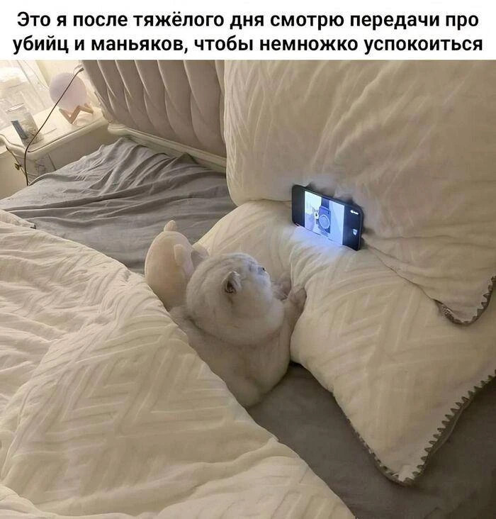 Женщины вдвое чаще мужчин смотрят документалки про серийных убийц и маньяков, чтобы...побороть страх
