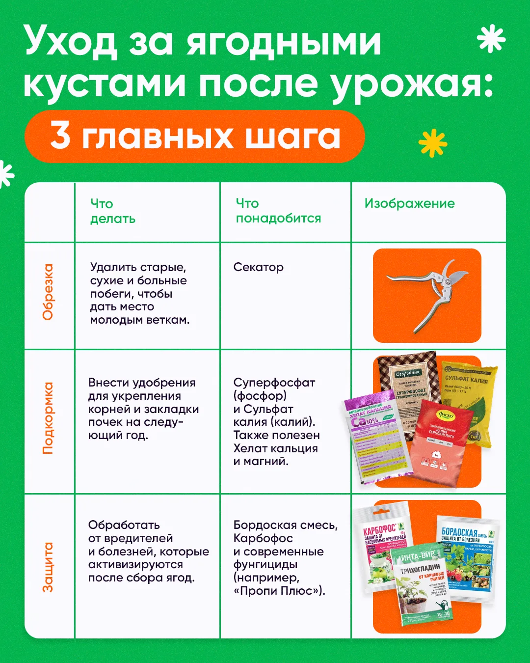 Сбор ягод позади, но работы в саду не заканчиваются. Сейчас важно провести обрезку, под...