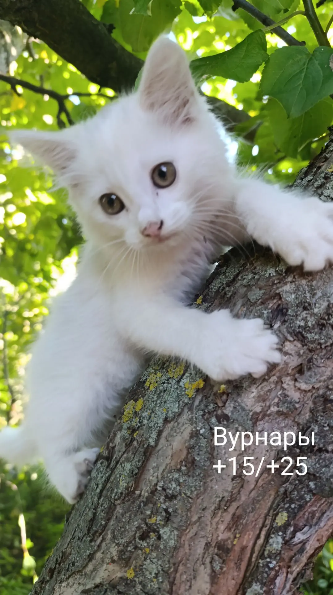 Доброе утро, друзья! ☀️