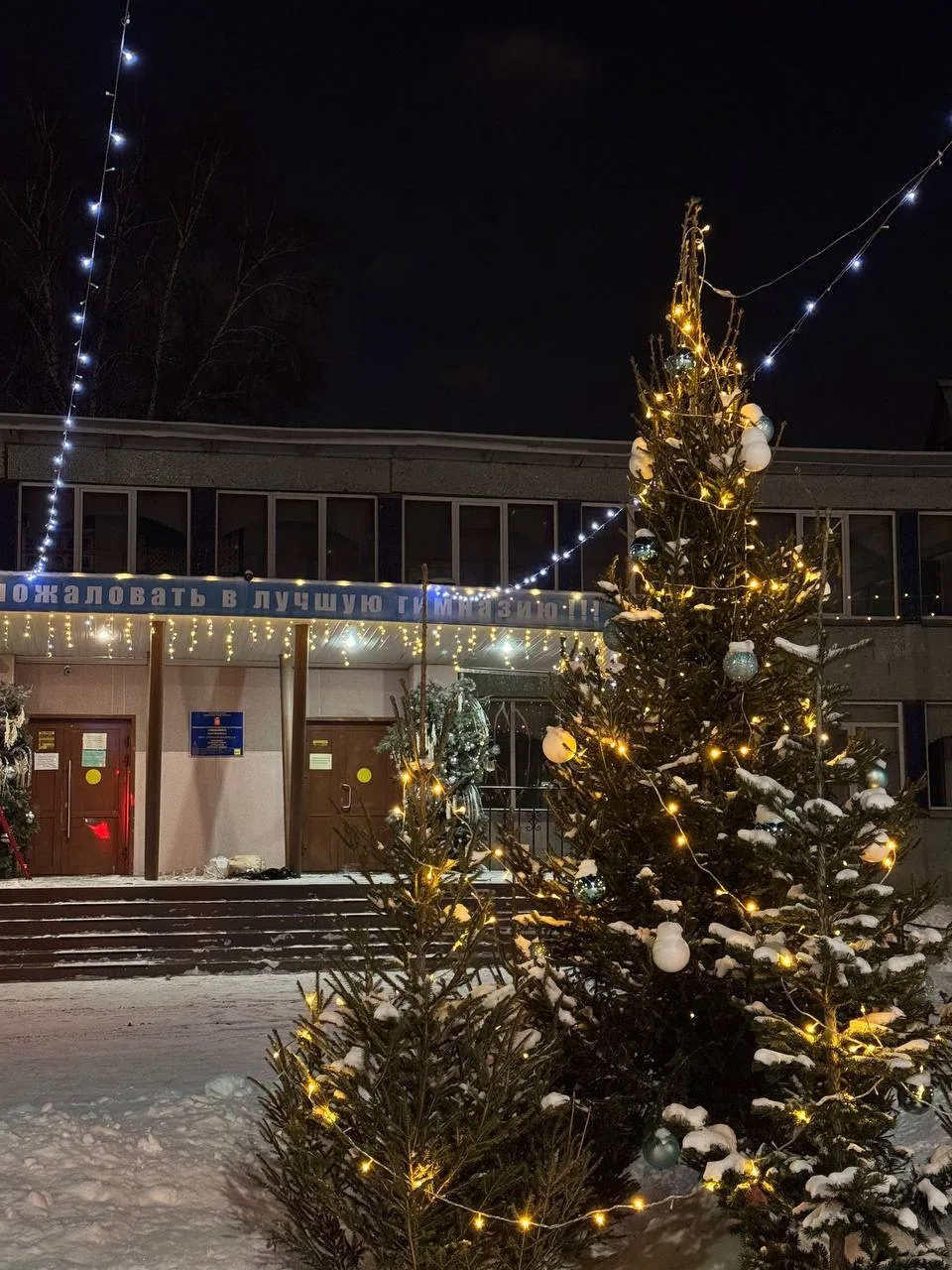 Готовы ко встрече Нового 2026 года!🎄  Молодильные яблочки, выставка жар-птиц, конкурс свитеров, подг