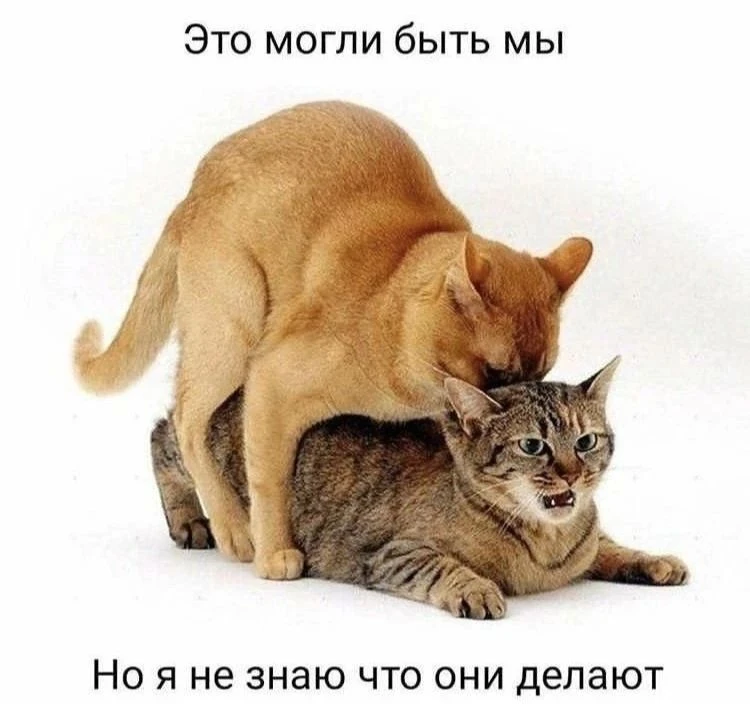 Пубертат - теперь в MAX 🤫