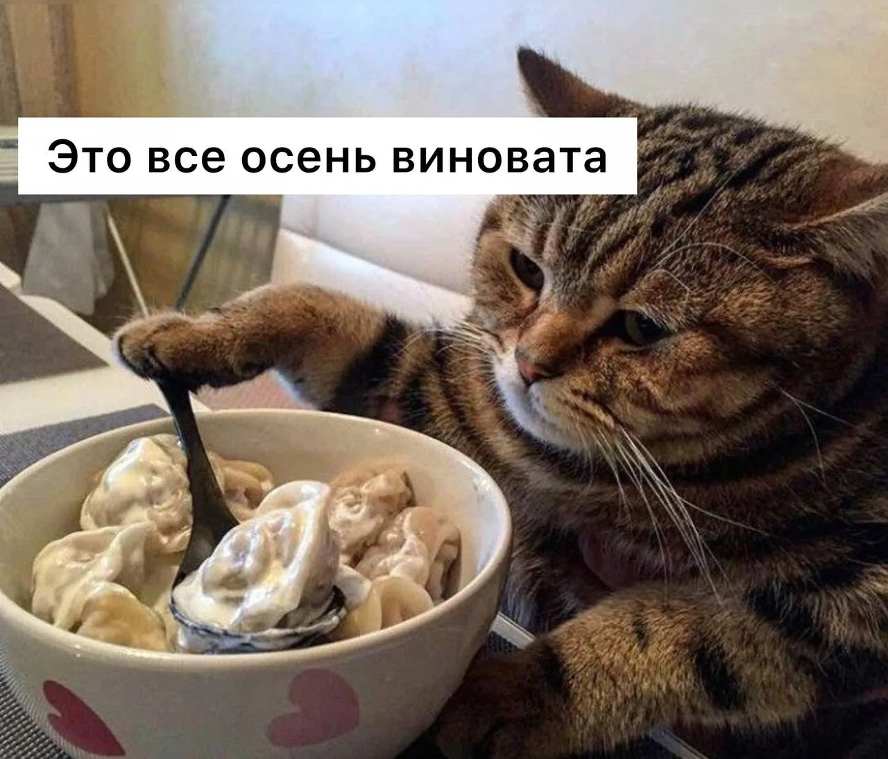Тяга к еде усиливается осенью из-за нехватки света, — психологи