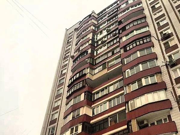 🐀 В Лефортово жители жалуются на нашествие крыс