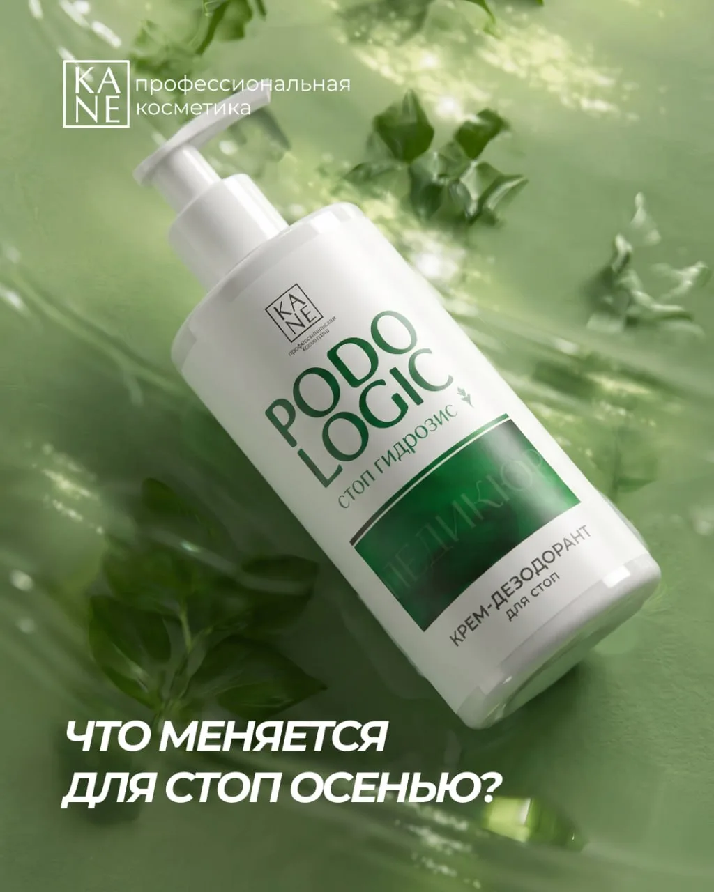 ЧТО МЕНЯЕТСЯ ДЛЯ СТОП ОСЕНЬЮ? 🍁