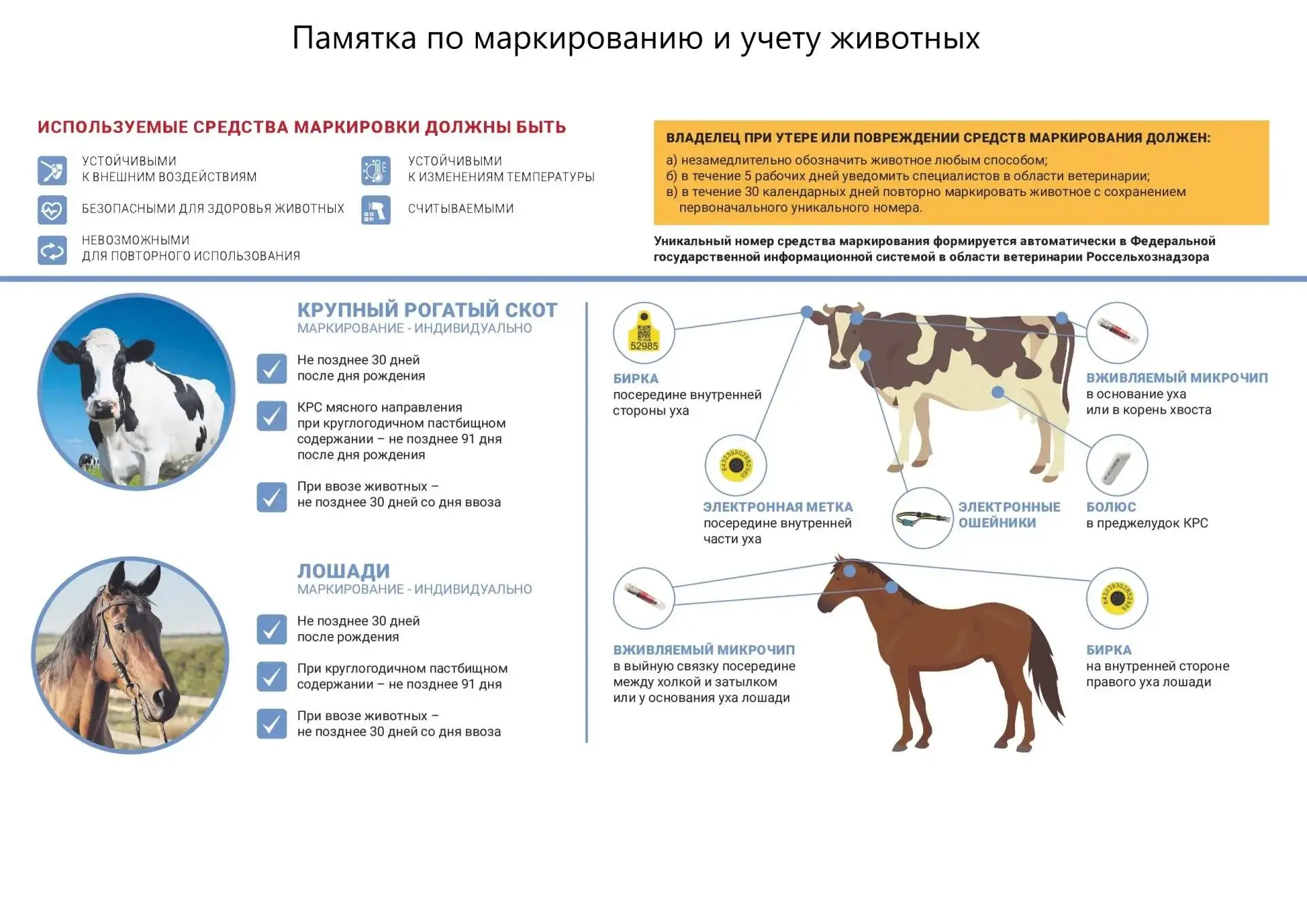 Маркировка и биркование сельскохозяйственных животных: ключевые сведения для владельцев