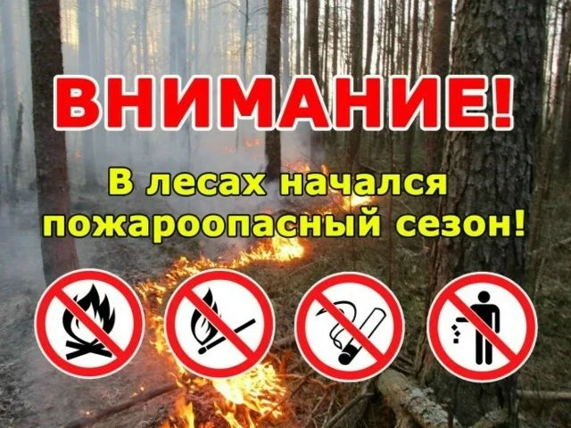 🔥В 2026 году пожароопасный сезон начался 6 апреля.