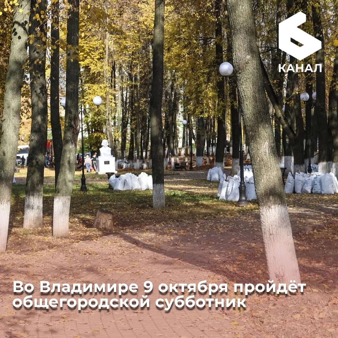 Во Владимире 9 октября пройдёт общегородской субботник