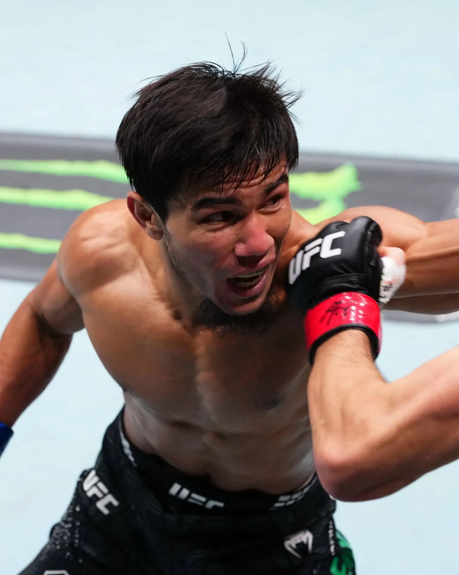 Бонусы UFC Fight Night в Абу-Даби 💰