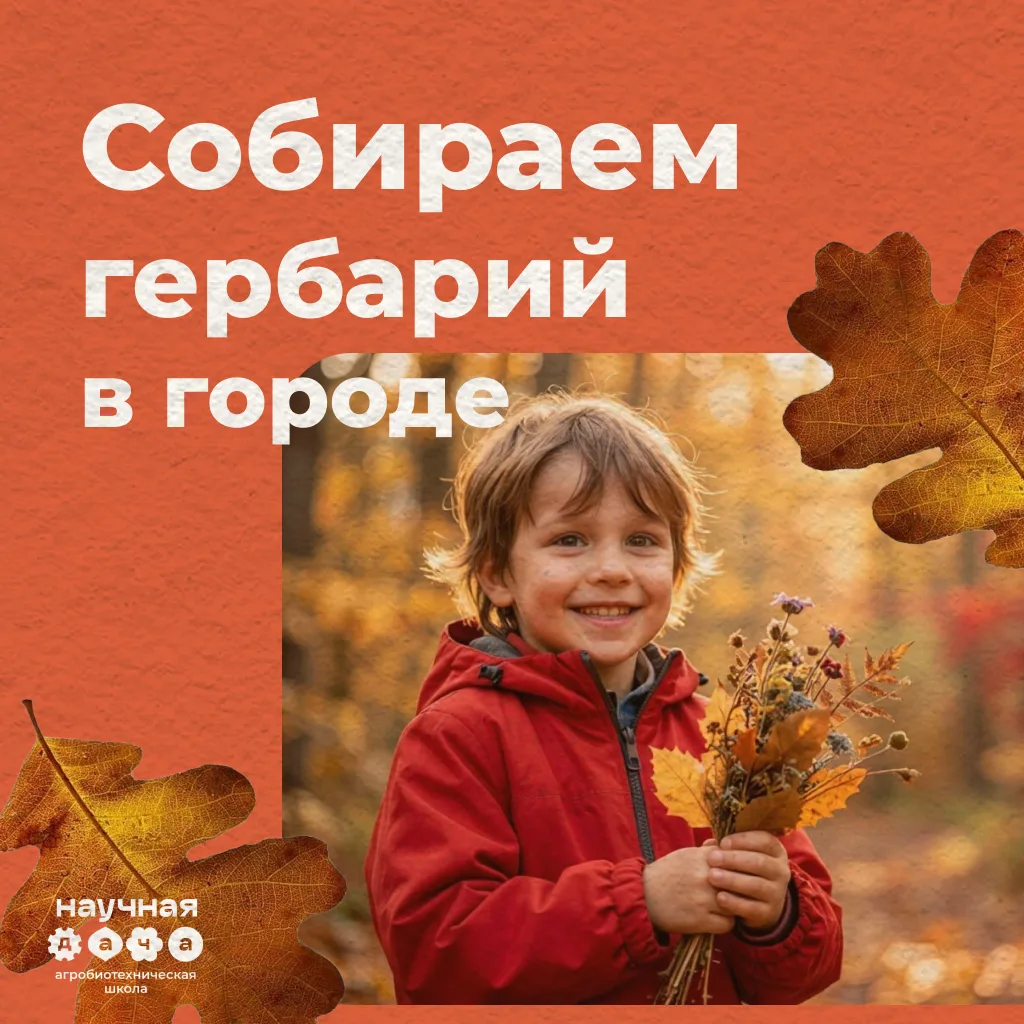 Встречаем осень правильно🍁