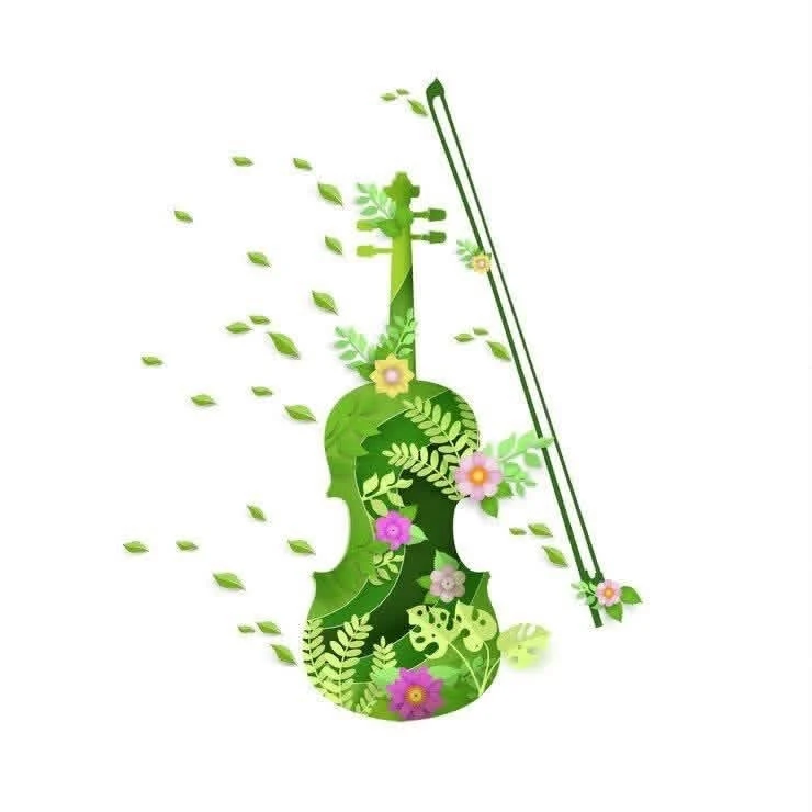 Неделя музыки. Скрипка.              #скрипка